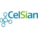 CelSian Glass Experts